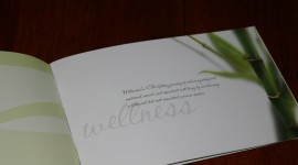 Michigan Rehabilitation Specialists